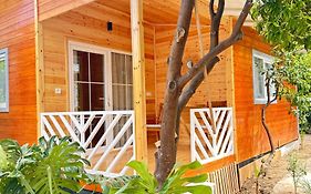 Cemils Guest House